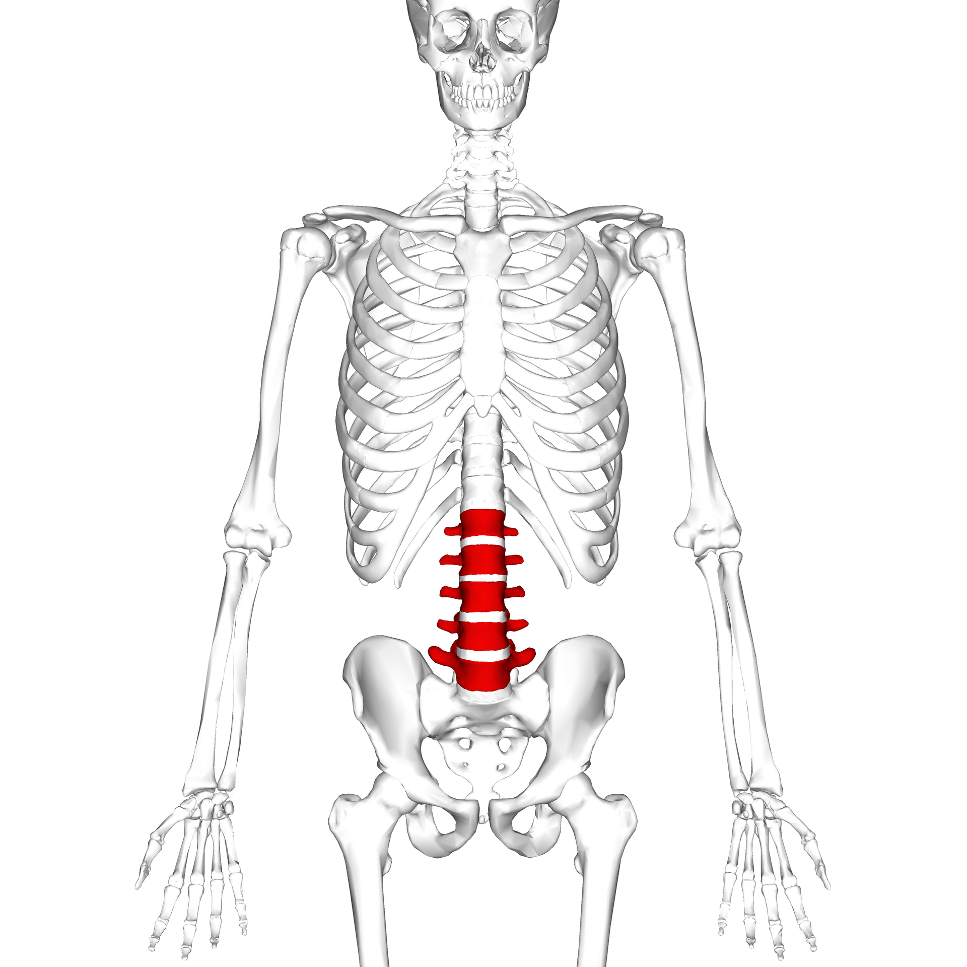 Understanding Spine Fusion Coding: Insights from The Alignment Clinic